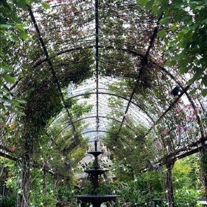 Meet your Posher, Stella